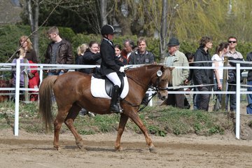 Bild 711 - WBO-Turnier am 9.4.11